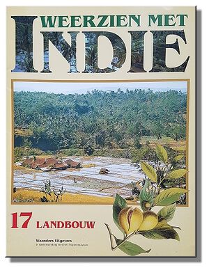 Weerzien met Indie 17.jpg